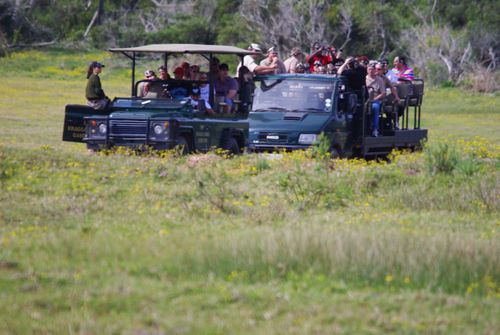 Kragga Kamma Game Park Hotel Port Elizabeth Eksteriør billede