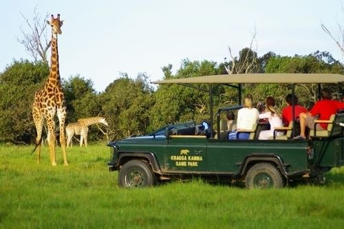 Kragga Kamma Game Park Hotel Port Elizabeth Eksteriør billede