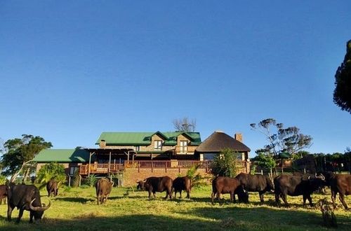 Kragga Kamma Game Park Hotel Port Elizabeth Eksteriør billede