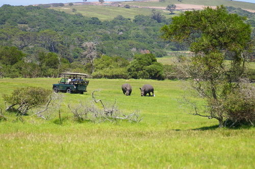Kragga Kamma Game Park Hotel Port Elizabeth Eksteriør billede