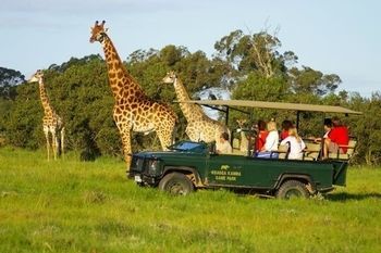 Kragga Kamma Game Park Hotel Port Elizabeth Eksteriør billede